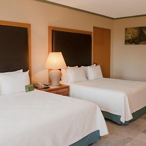 Habitación Doble Estándar